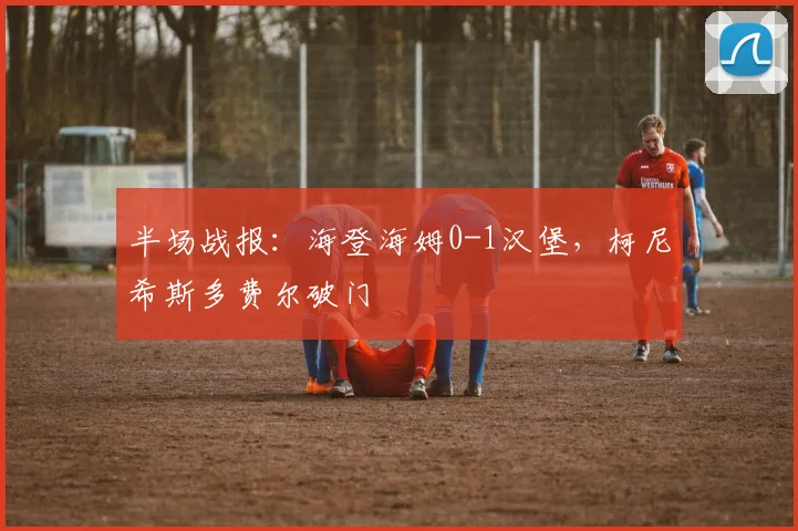 半场战报：海登海姆0-1汉堡，柯尼希斯多费尔破门